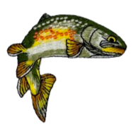 Spotted Fish