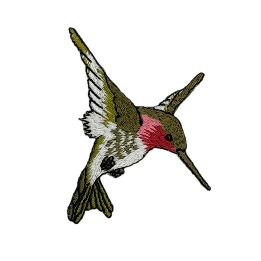 Humming Bird