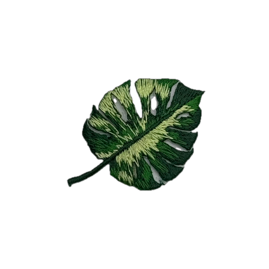 Monstera Leaf