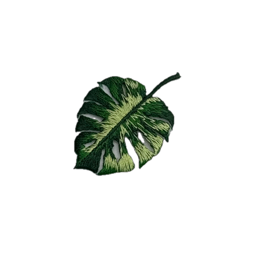 Monstera Leaf
