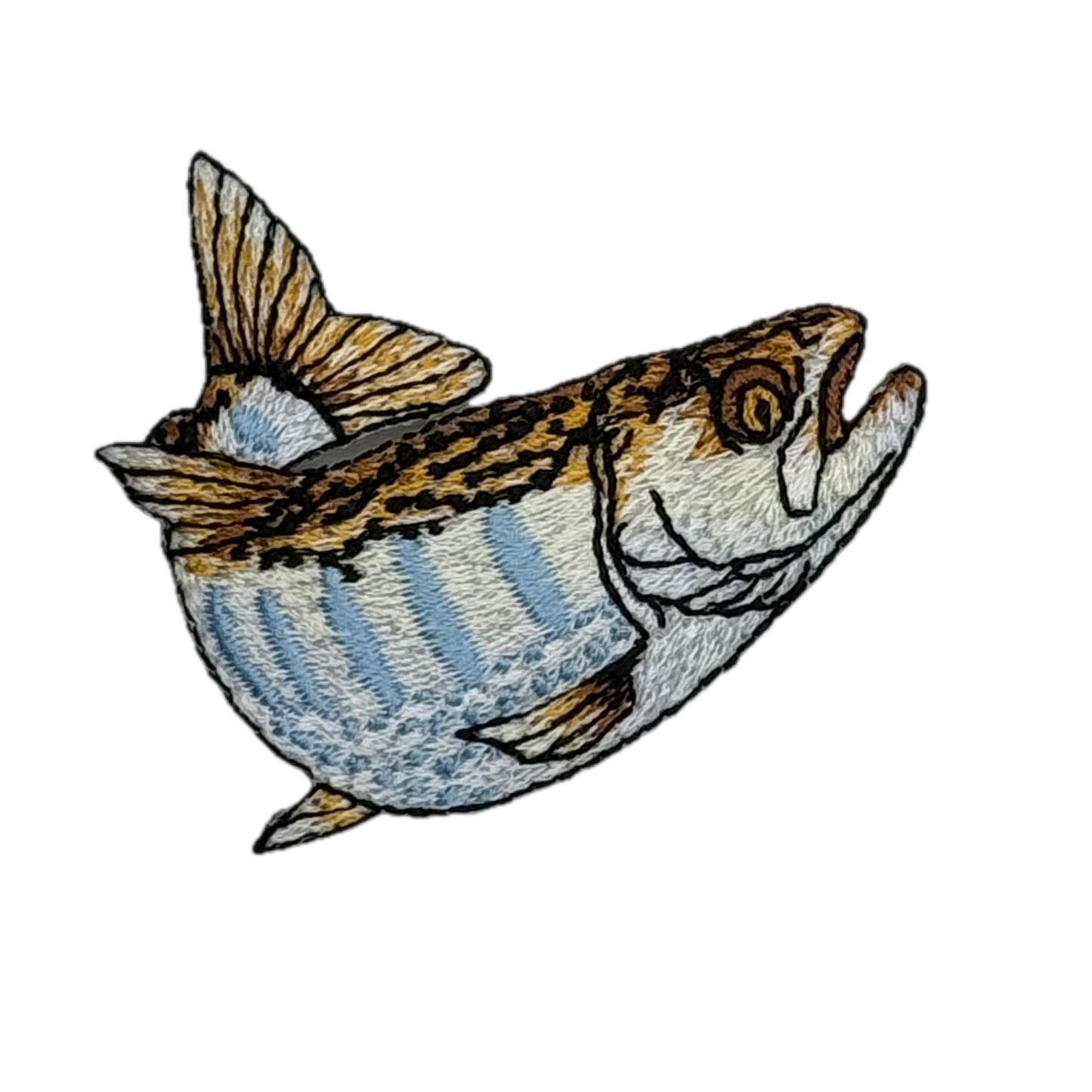 Striped Fish
